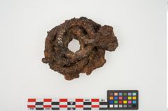 Foto von Bronzegewandnadel (NHMW-PRAE-025166)